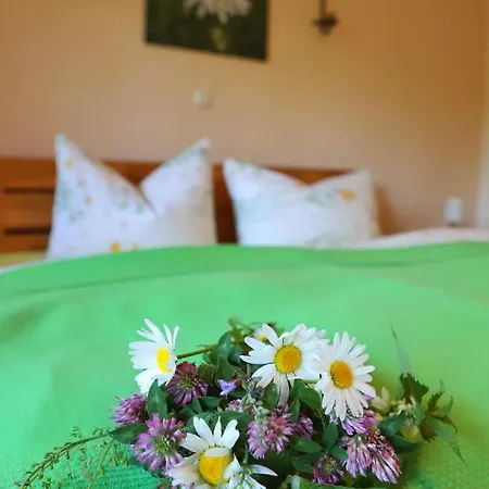 Vitaleum Hotel Krolpa